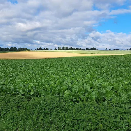 Steef's Zuid Limburg Simpelveld