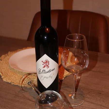 Steef's Zuid Limburg Tatil Evi Simpelveld
