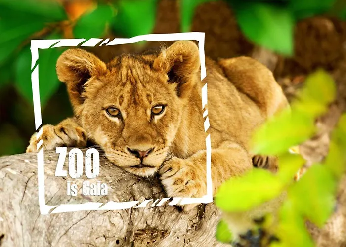 Steef's Zuid Limburg Vakantiehuis Simpelveld