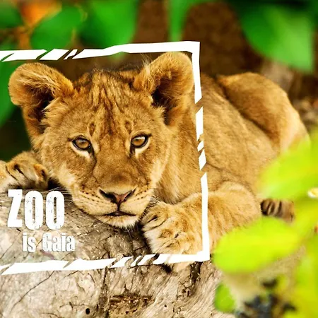 Steef's Zuid Limburg Casa vacanze Simpelveld